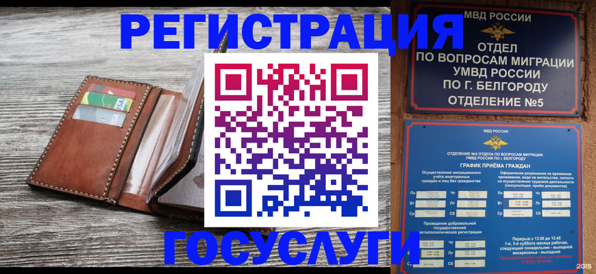 временная регистрация гарантия в Малой Вишере